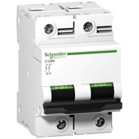 Автоматичний вимикач Schneider Electric C120N 2P 125A B