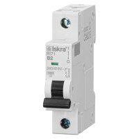 Автоматический выключатель RI71 1P B2A 10кА ISKRA