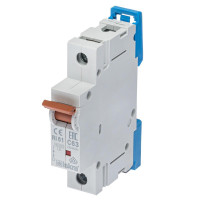 Модульний автоматичний вимикач ISKRA RI61 1P C63A 10kA