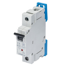 Модульний автоматичний вимикач ISKRA RI61 1P C40A 10kA