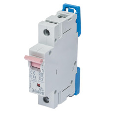 Модульний автоматичний вимикач ISKRA RI61 1P C2A 10kA
